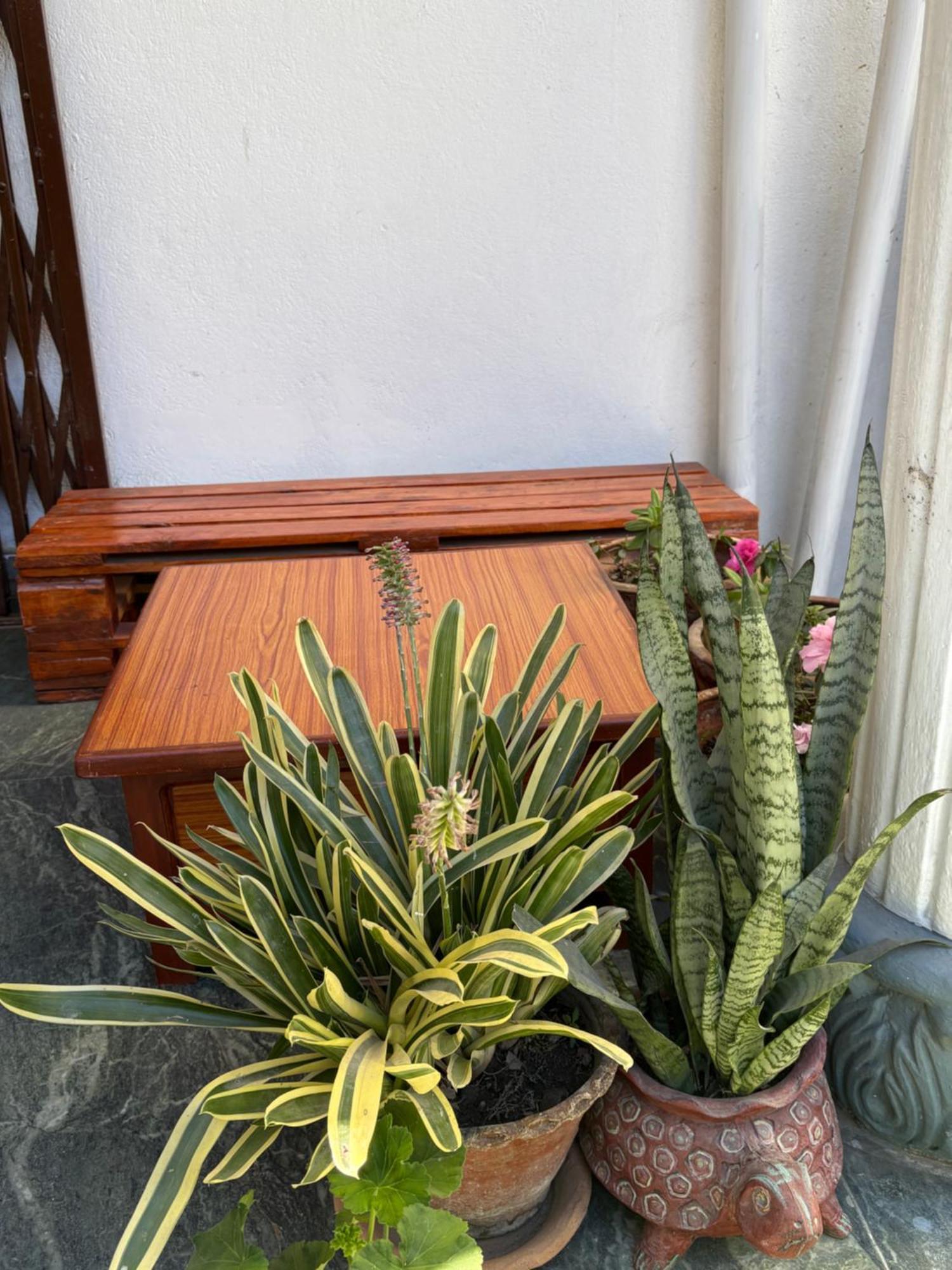 Drakon Nest Homestay Kathmandu Luaran gambar